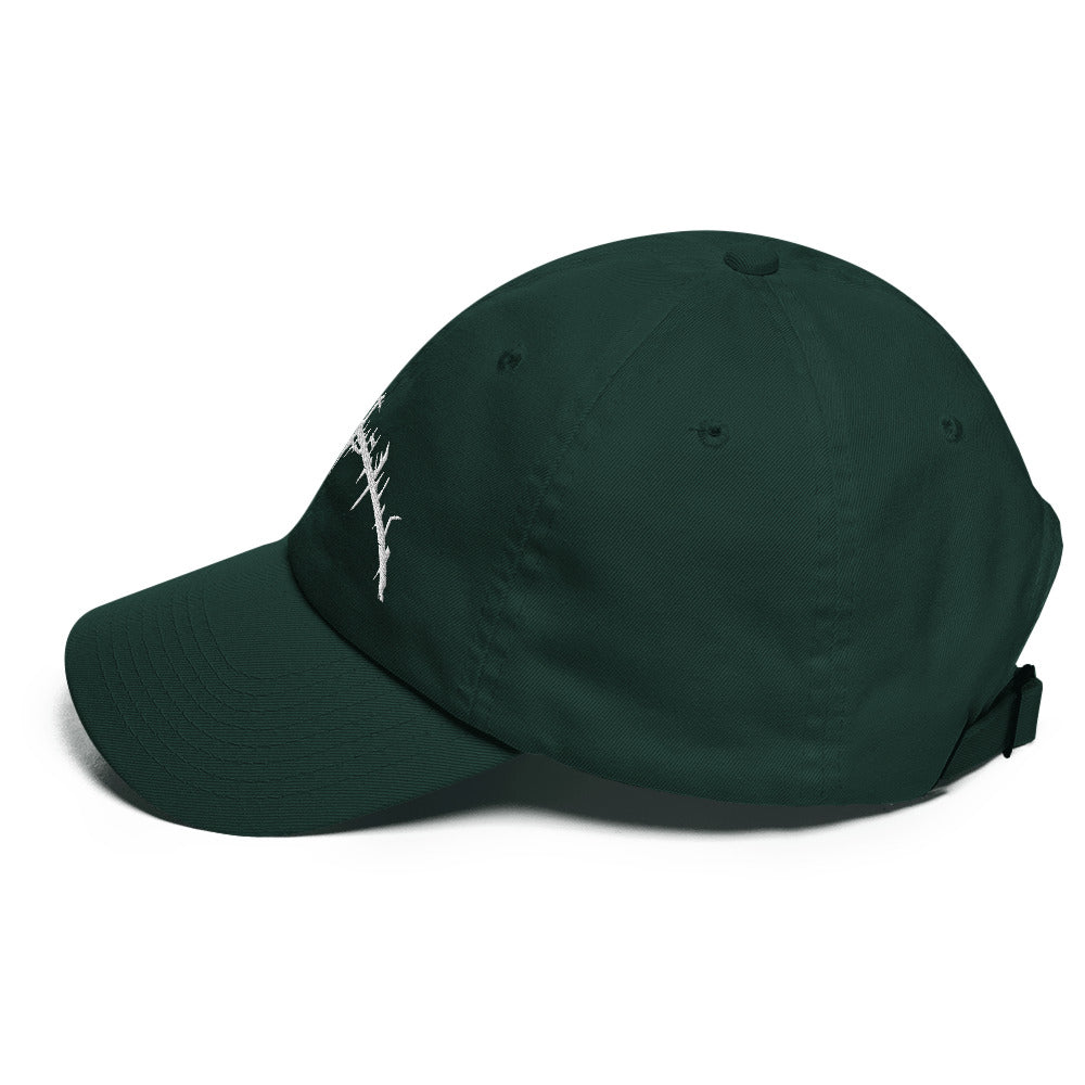 Baseball cap